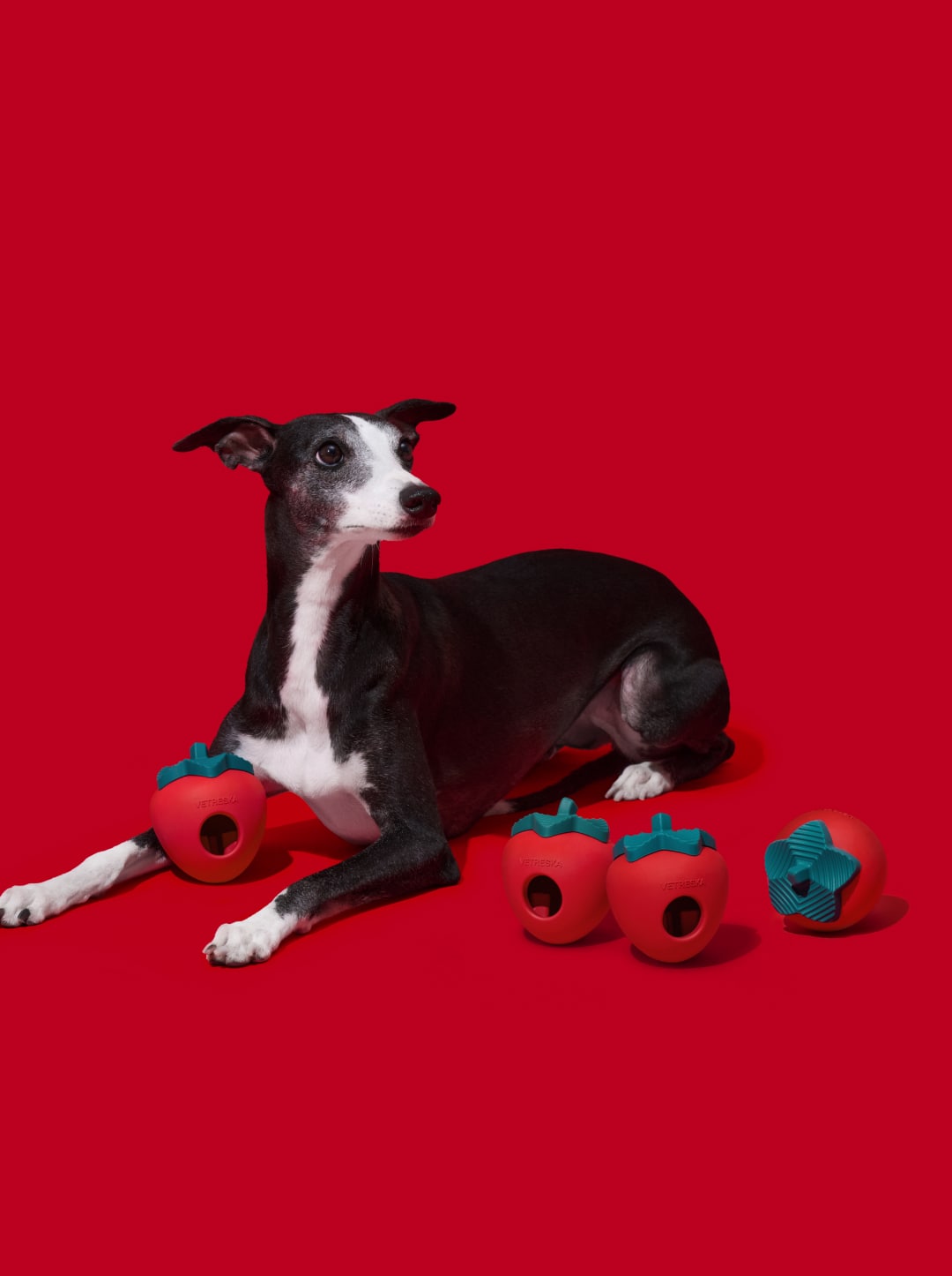 Strawberry Pet Treat Dispensing Toy