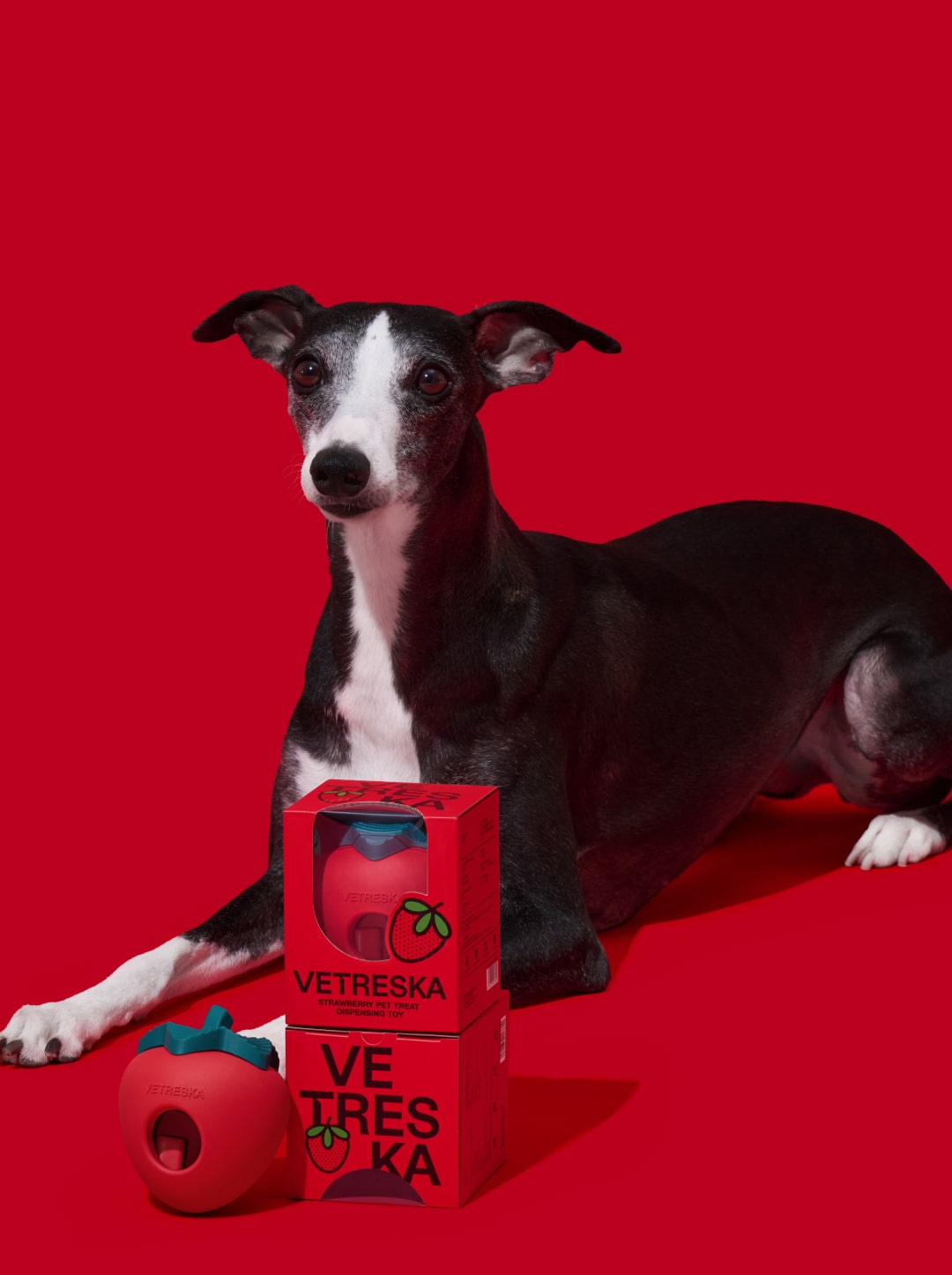 Strawberry Pet Treat Dispensing Toy
