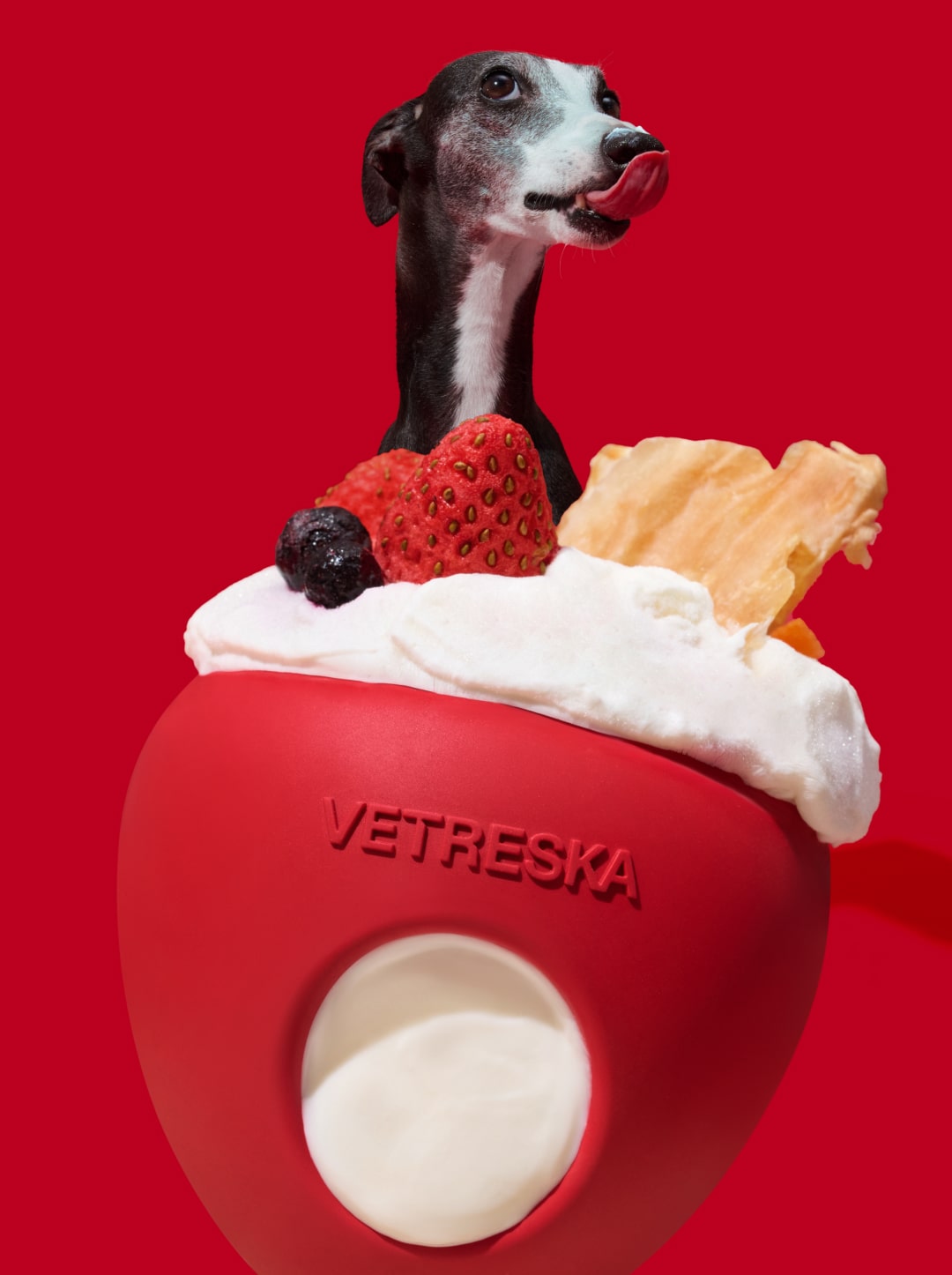 Strawberry Pet Treat Dispensing Toy