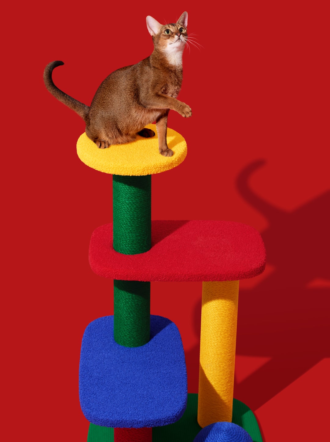Chroma Cat Climber (Open Platform)