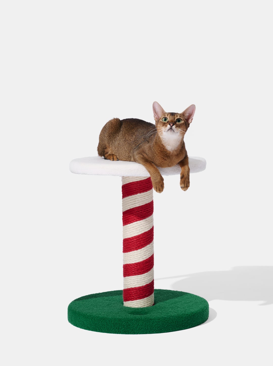 Frosty Fellow Cat Climber - 2 Platforms