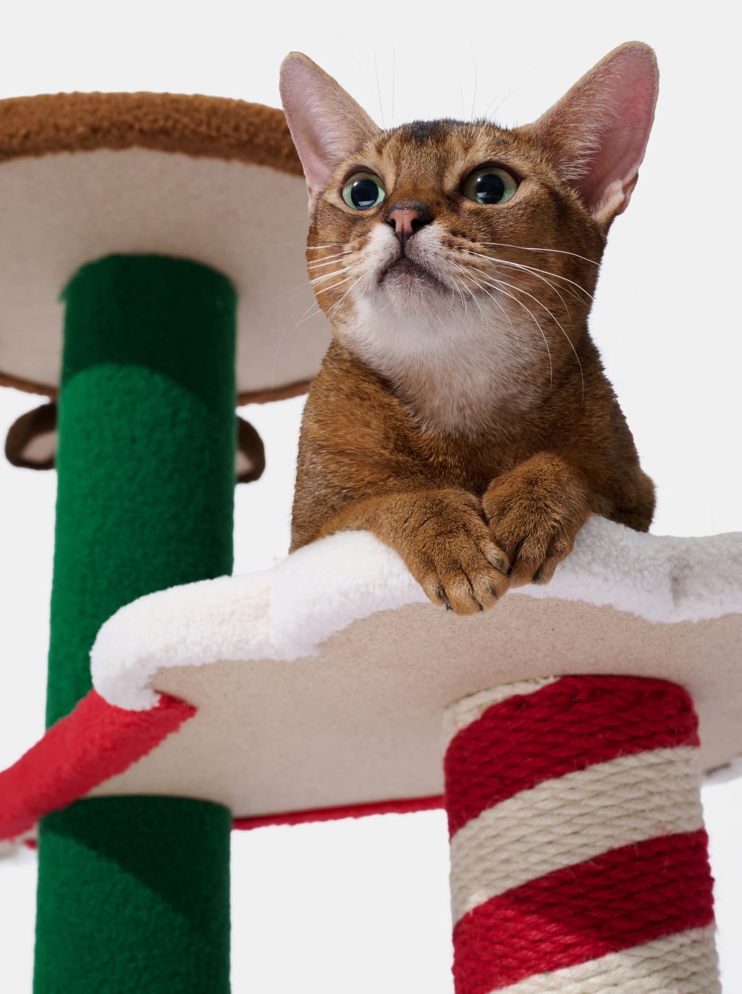 Festive Friends Cat Climber - 4 Platforms