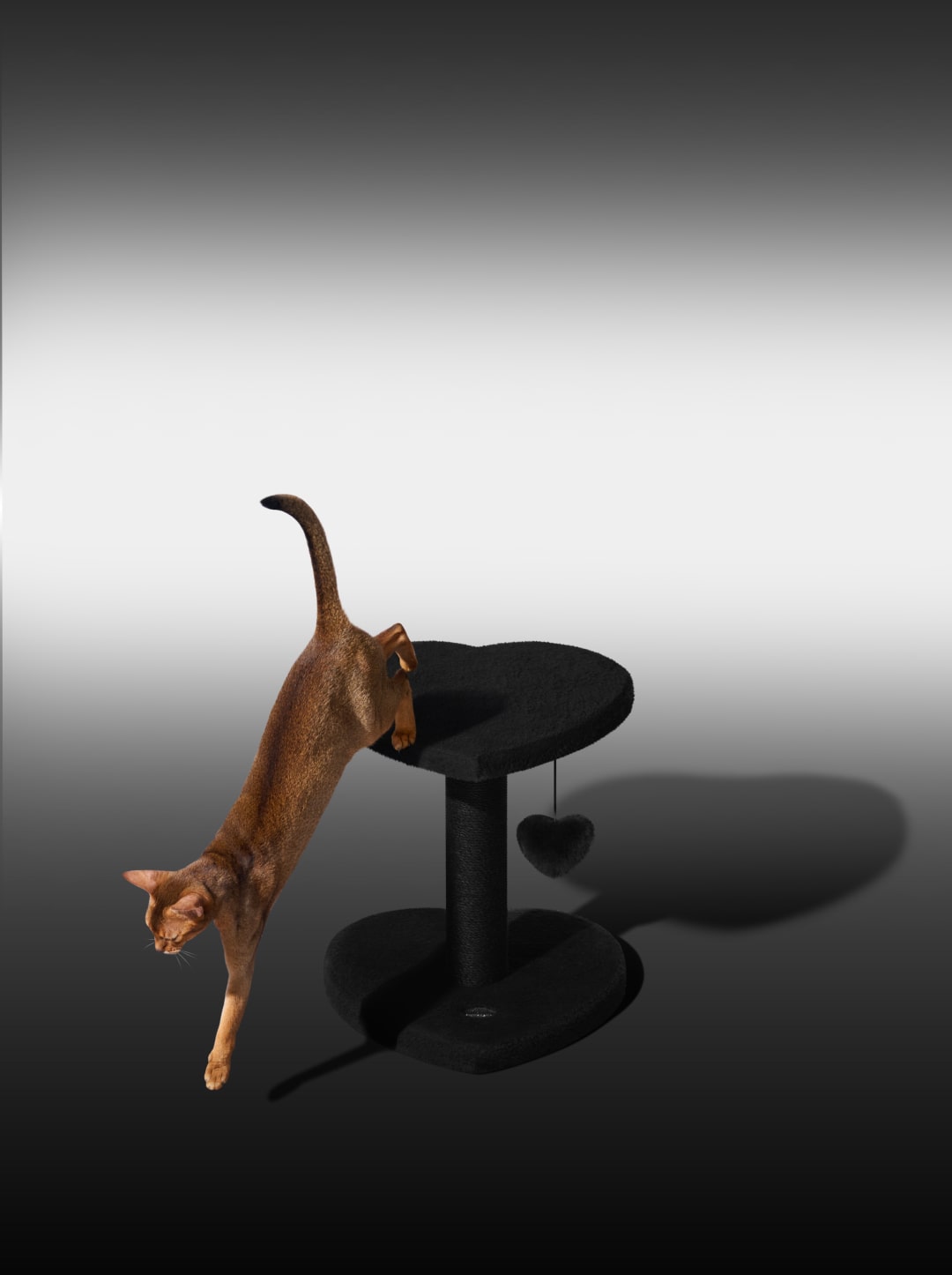 Heartpurrnoir Cat Climber - 2 Platforms