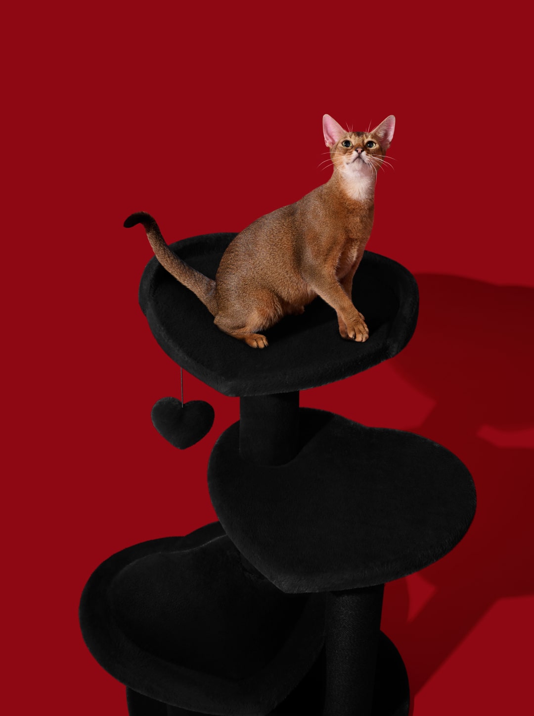 Heartpurrnoir Cat Climber - 2 Platforms