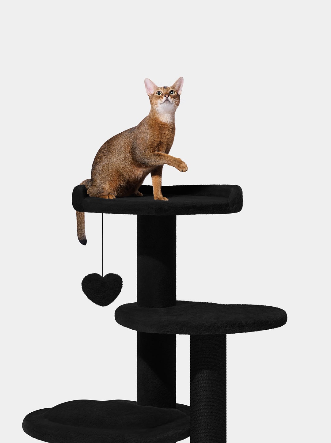 Heartpurrnoir Cat Climber - 4 Platforms