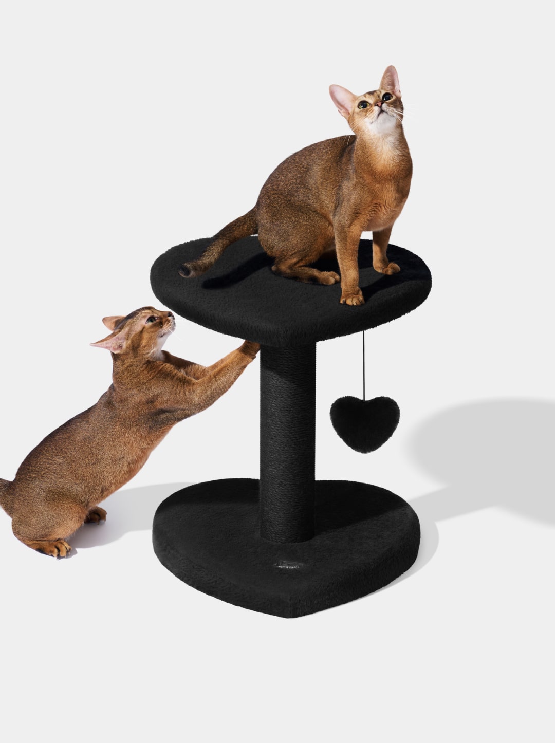 Heartpurrnoir Cat Climber - 2 Platforms