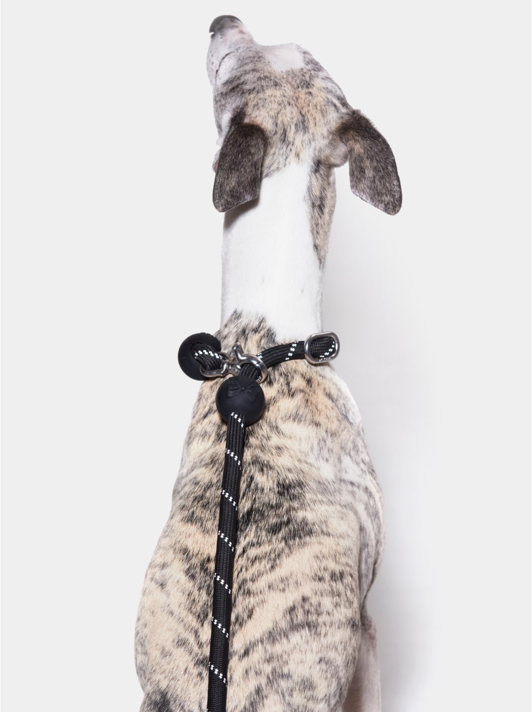 Connect Hands-Free Rope Leash (Bow De Noir)