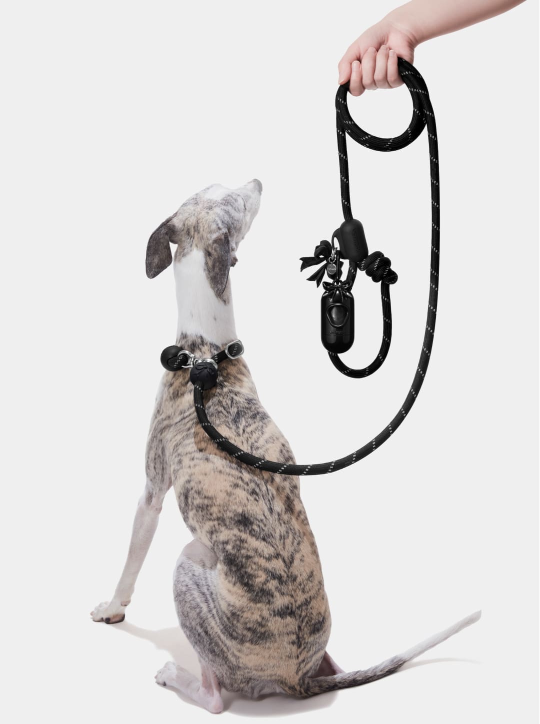 Connect Hands-Free Rope Leash (Bow De Noir)