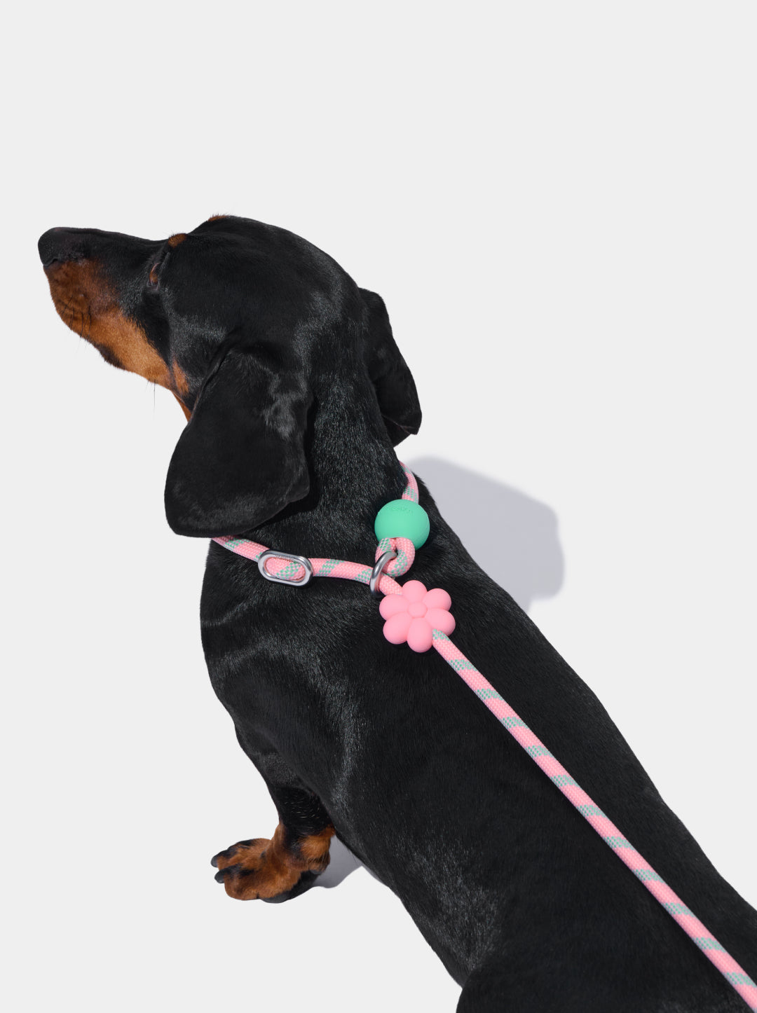 Connect Lite Rope Leash for Pets - Flora