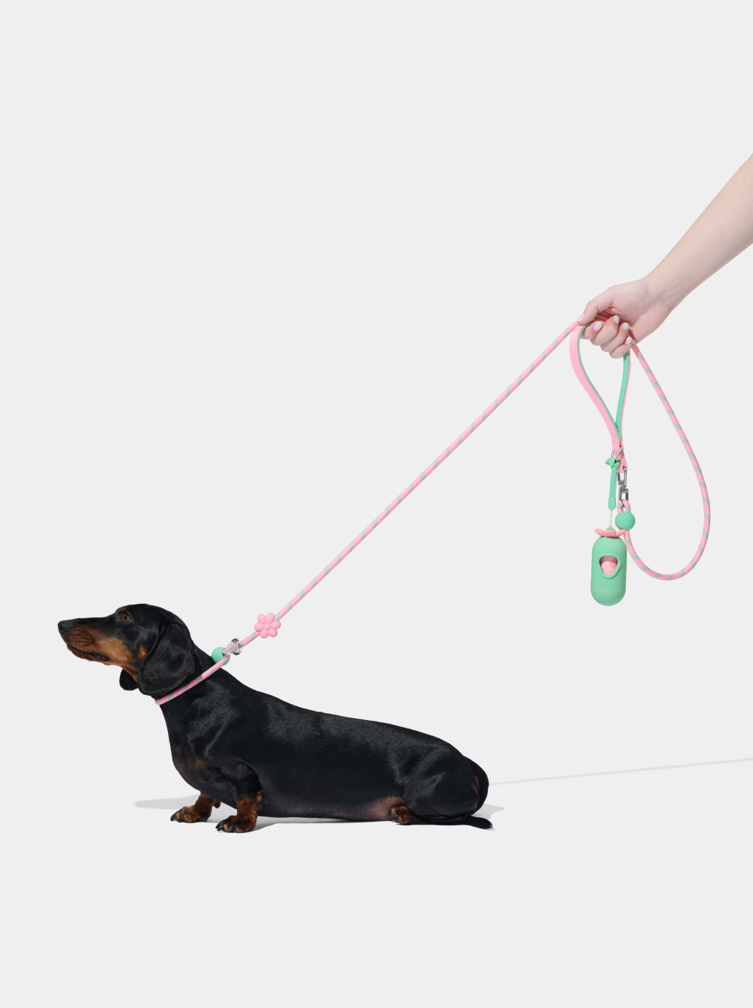 Connect Lite Rope Leash for Pets - Flora