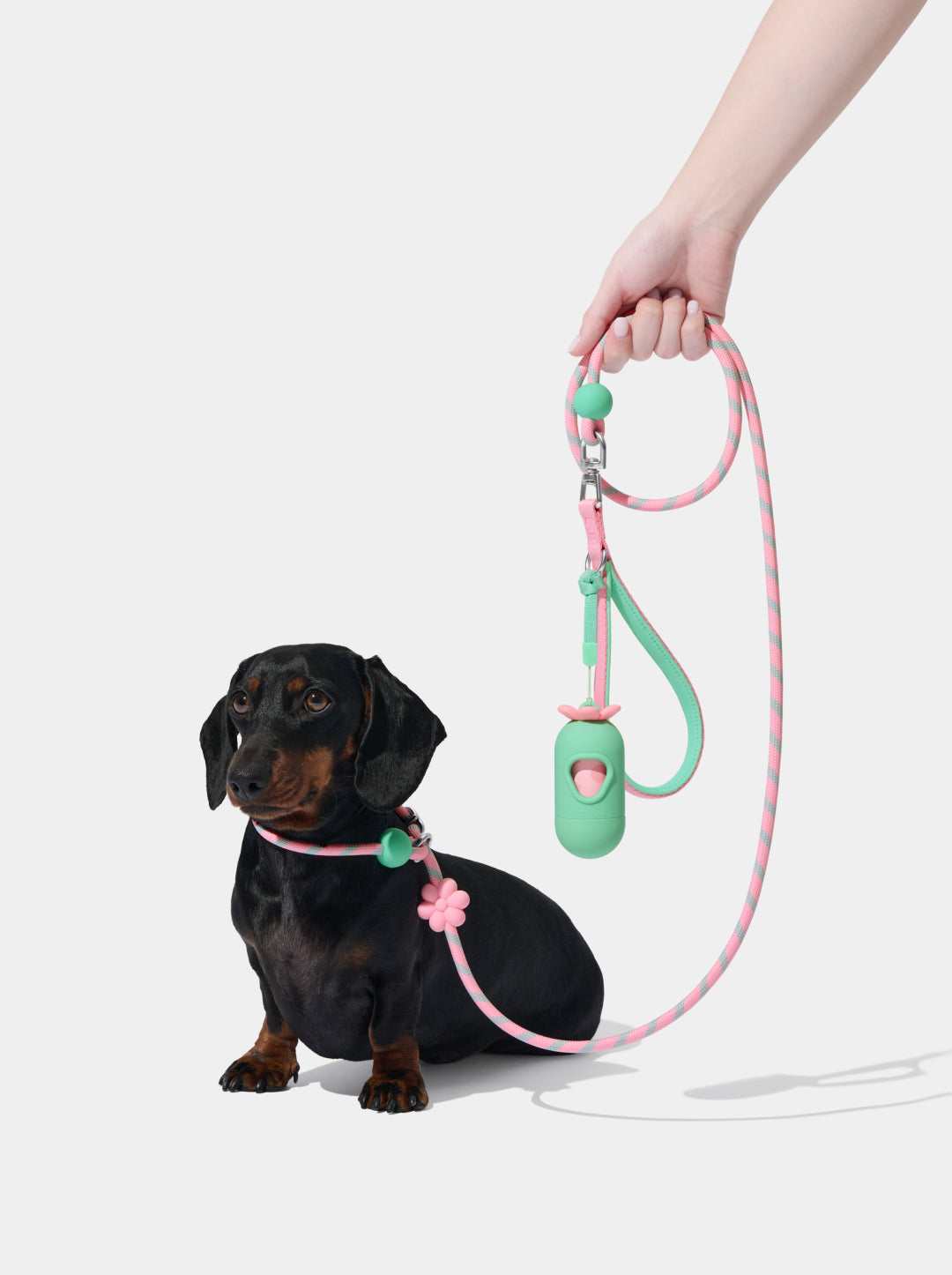 Connect Lite Rope Leash for Pets - Flora