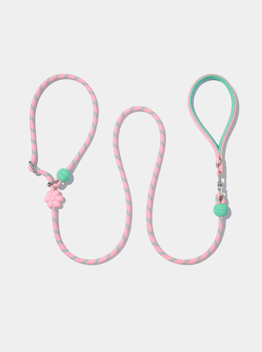 Connect Lite Rope Leash for Pets - Flora