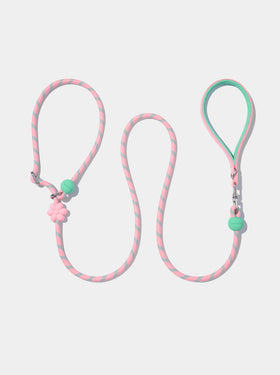 Connect Lite Rope Leash for Pets - Flora