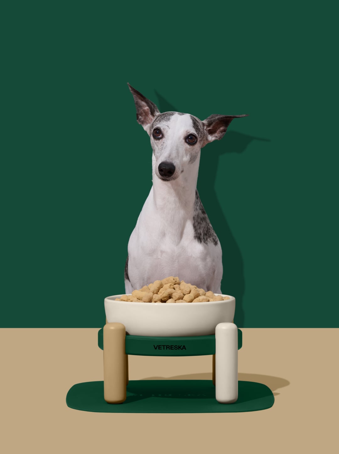 Santal Forest Ceramic Pet Bowl & Mat Set