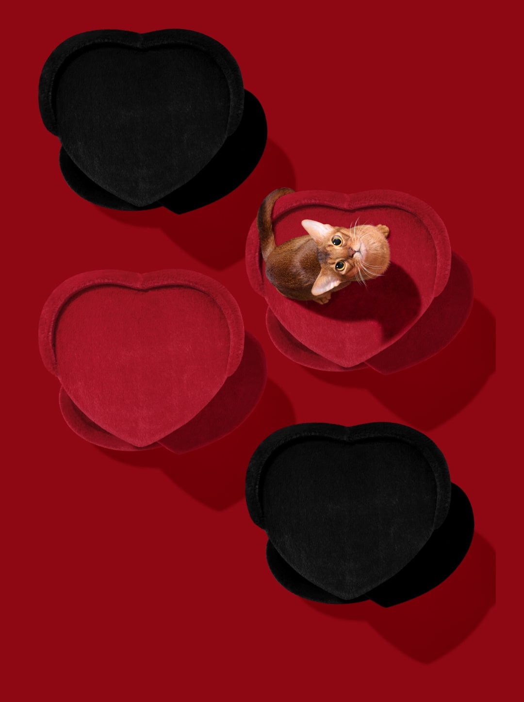 Heartpurrouge Cat Climber - 2 Platforms