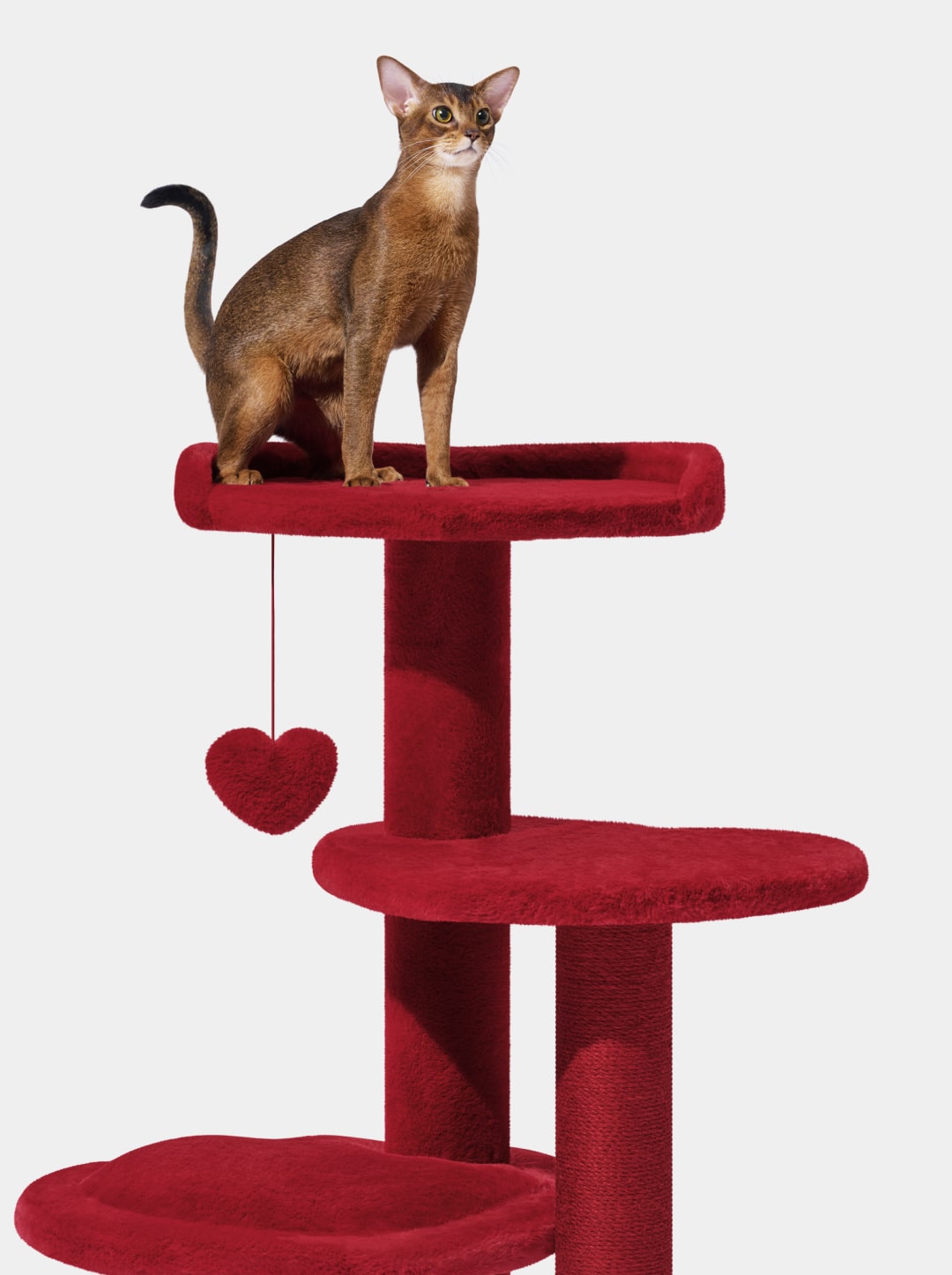 Heartpurrouge Cat Climber - 4 Platforms