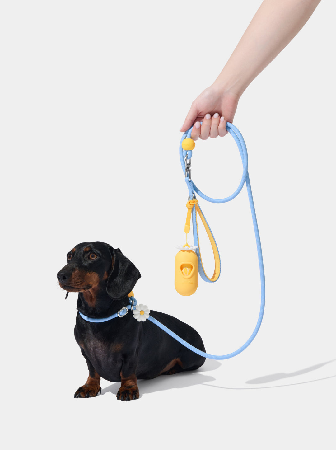 Connect Lite Rope Leash for Pets - Daisy