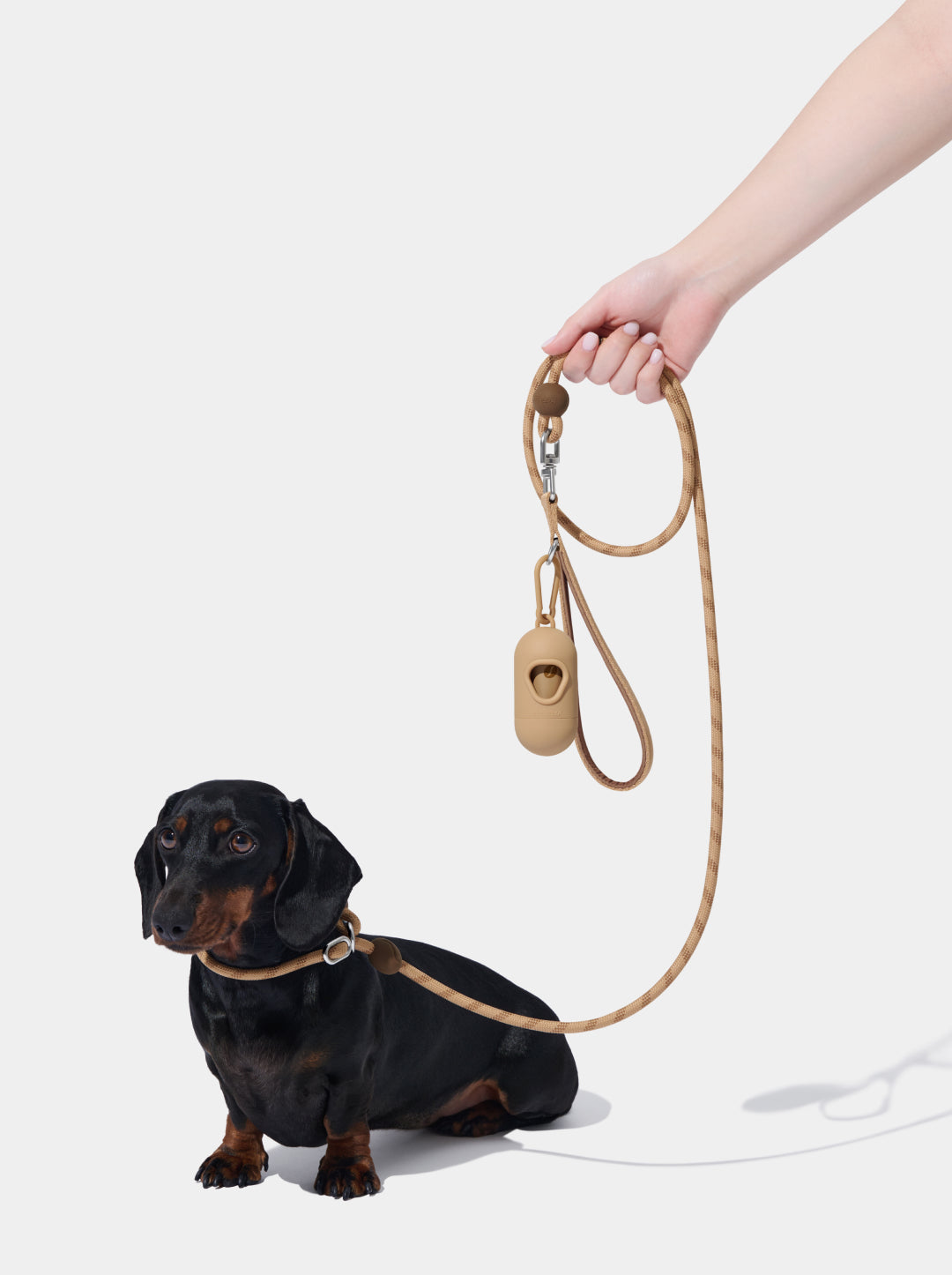 Connect Lite Rope Leash for Pets - Coffee