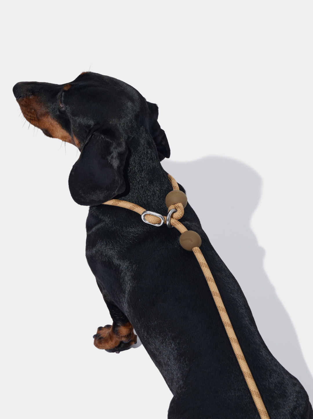 Connect Lite Rope Leash for Pets - Coffee