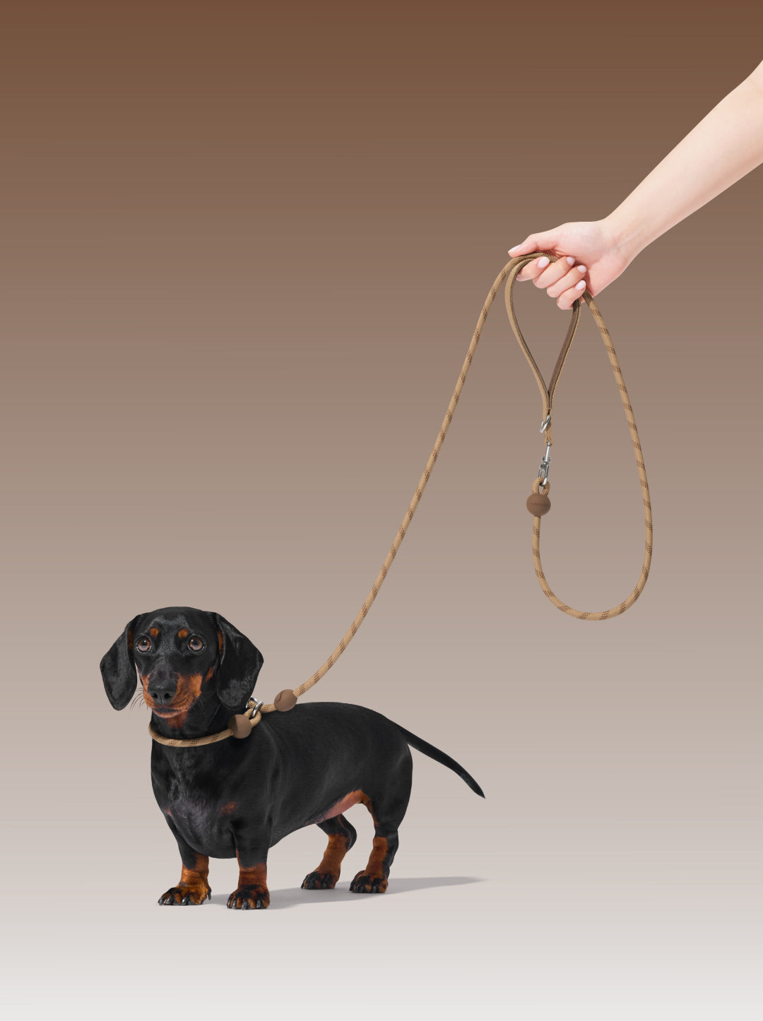 Connect Lite Rope Leash for Pets - Coffee