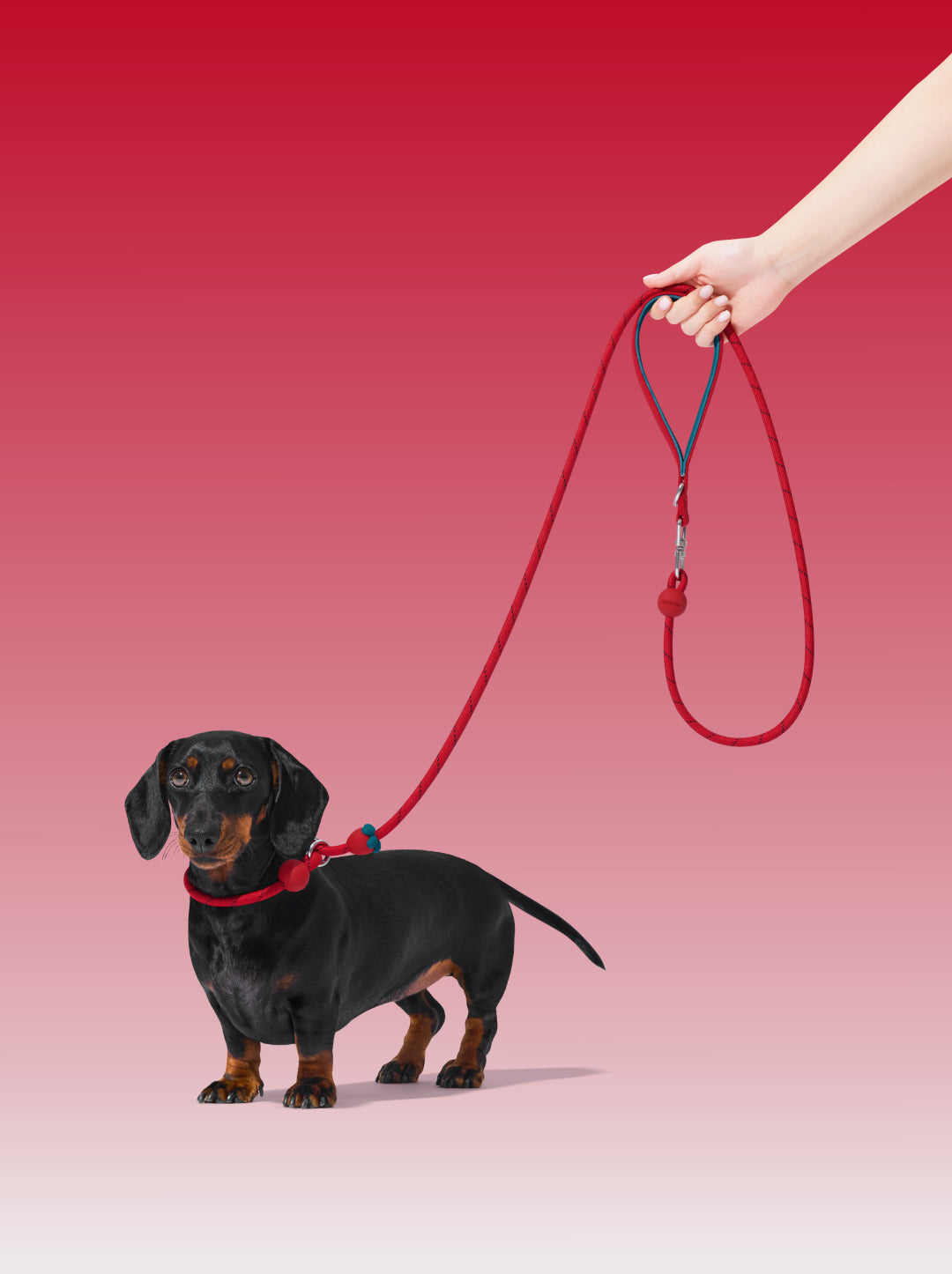 Connect Lite Rope Leash for Pets - Strawberry