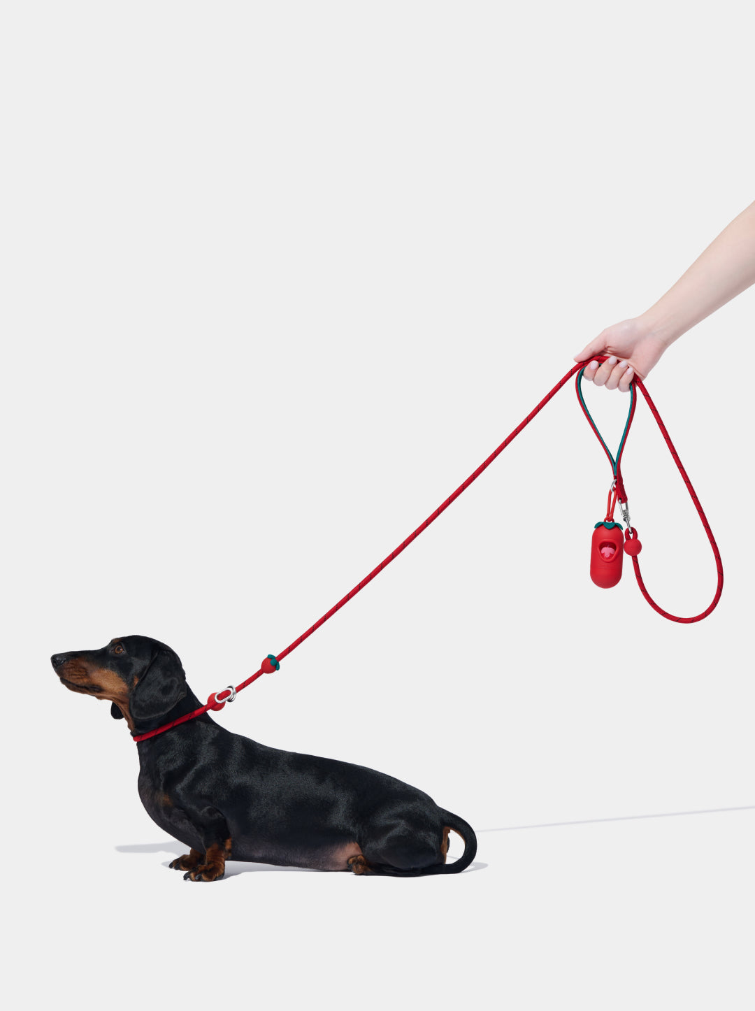 Connect Lite Rope Leash for Pets - Strawberry