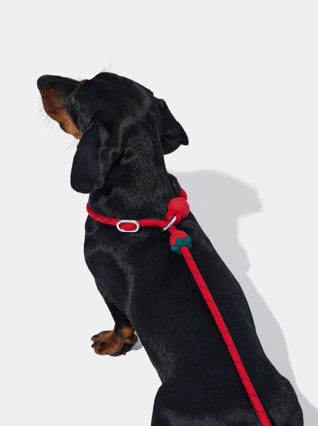 Connect Lite Rope Leash for Pets - Strawberry