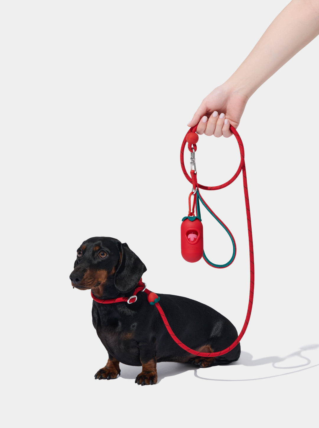 Connect Lite Rope Leash for Pets - Strawberry