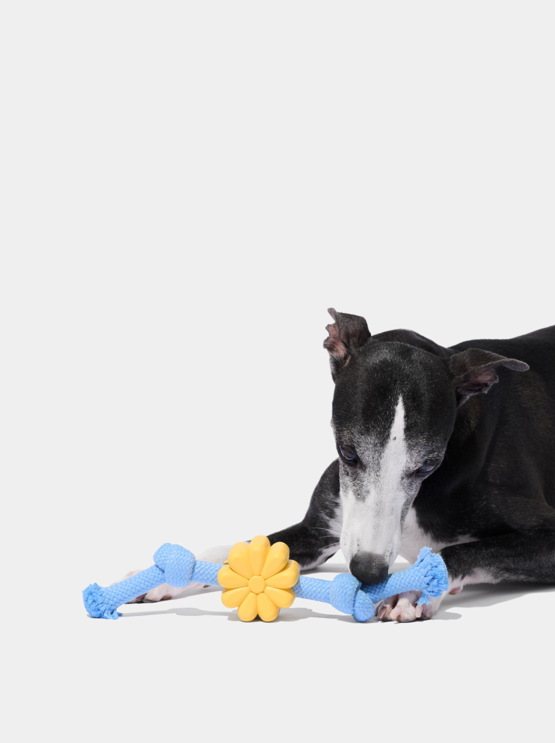 Daisy Playful Charm Knot Rope Toy