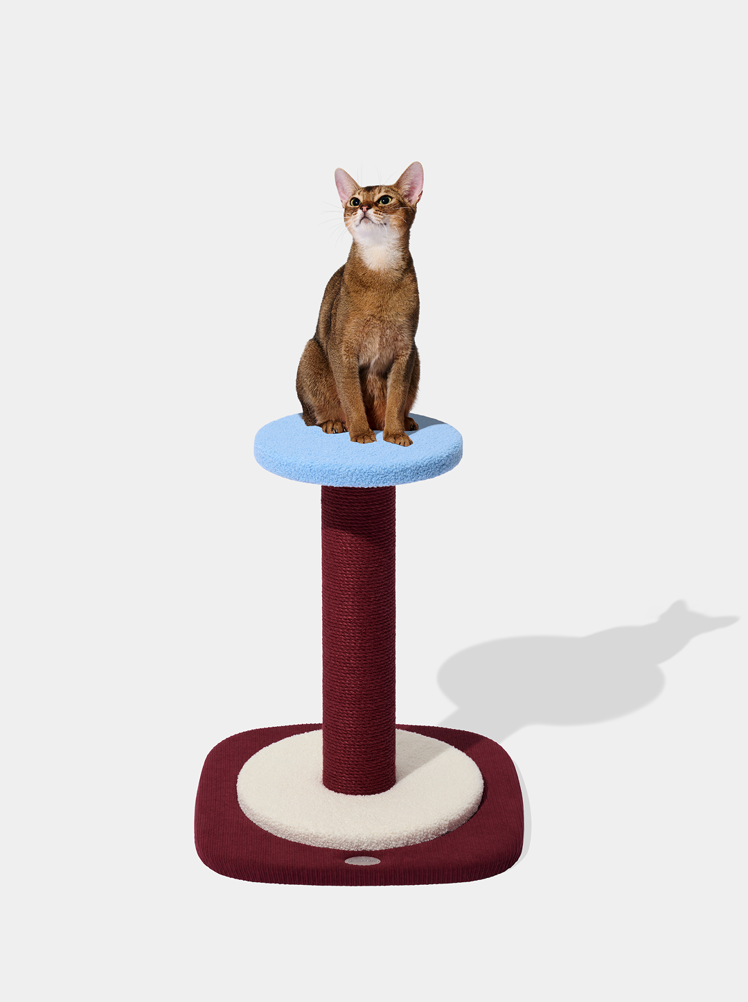 Mist and Merlot Cat Scratcher (Simple Post)