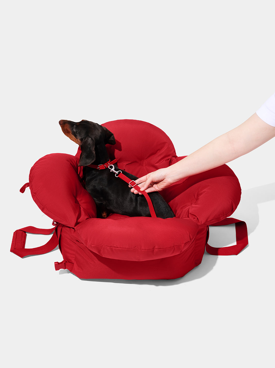 Strawberry Car Seat Pet Carrier