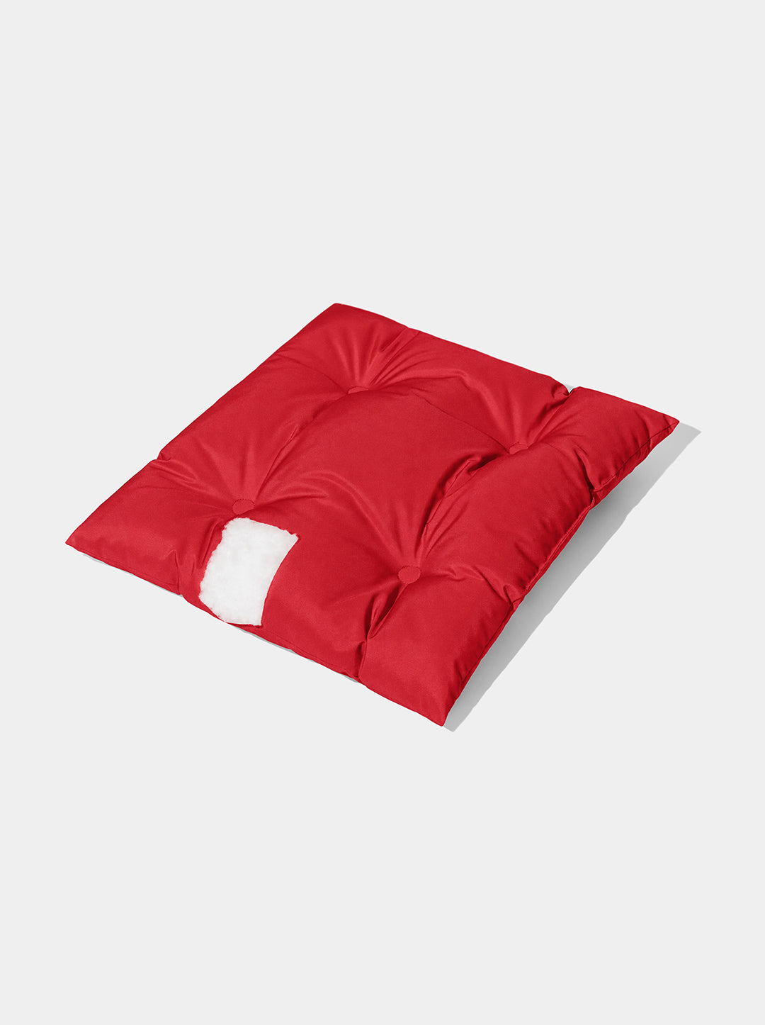 Strawberry Car Seat Pet Carrier