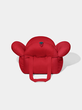 Strawberry Car Seat Pet Carrier