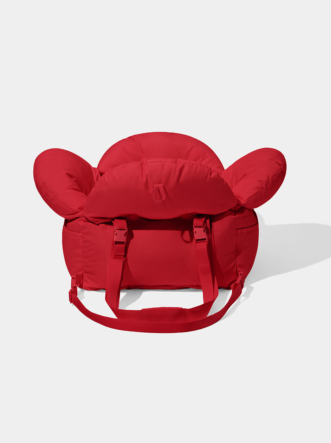 Strawberry Car Seat Pet Carrier