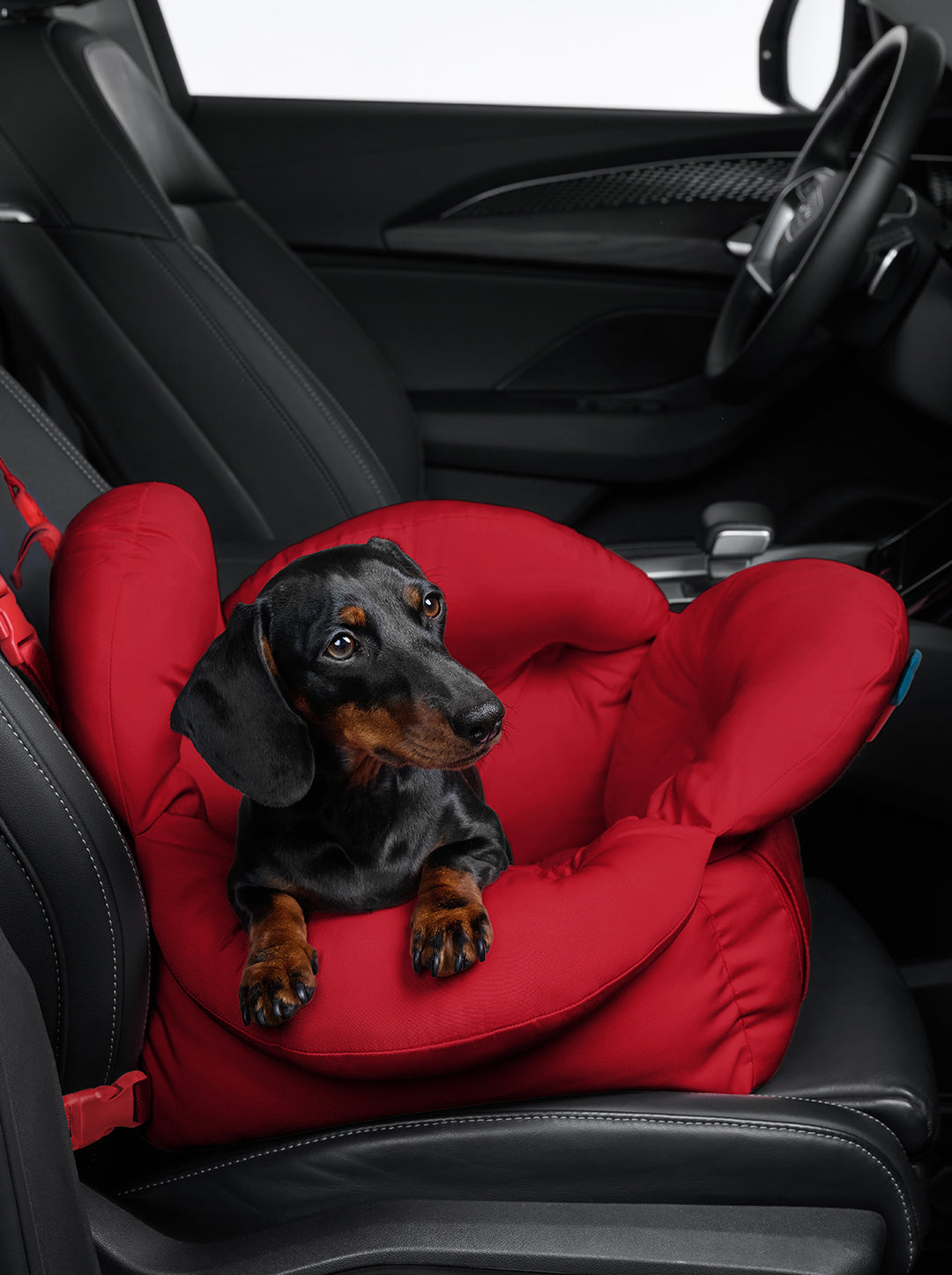 Strawberry Car Seat Pet Carrier