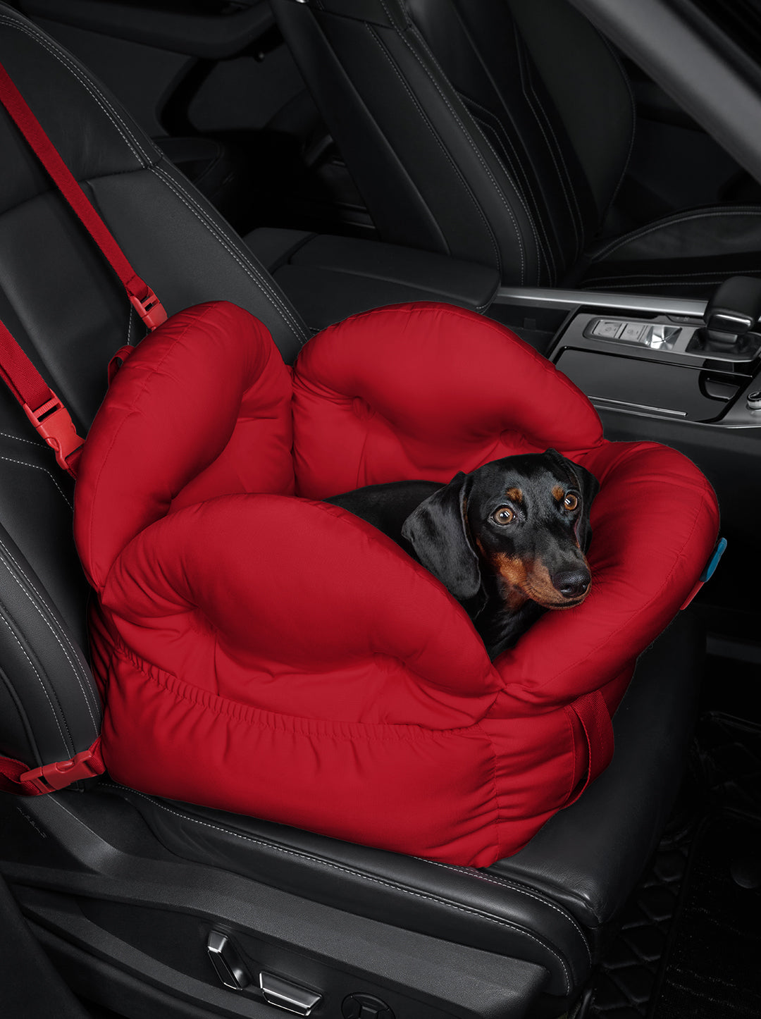 Strawberry Car Seat Pet Carrier