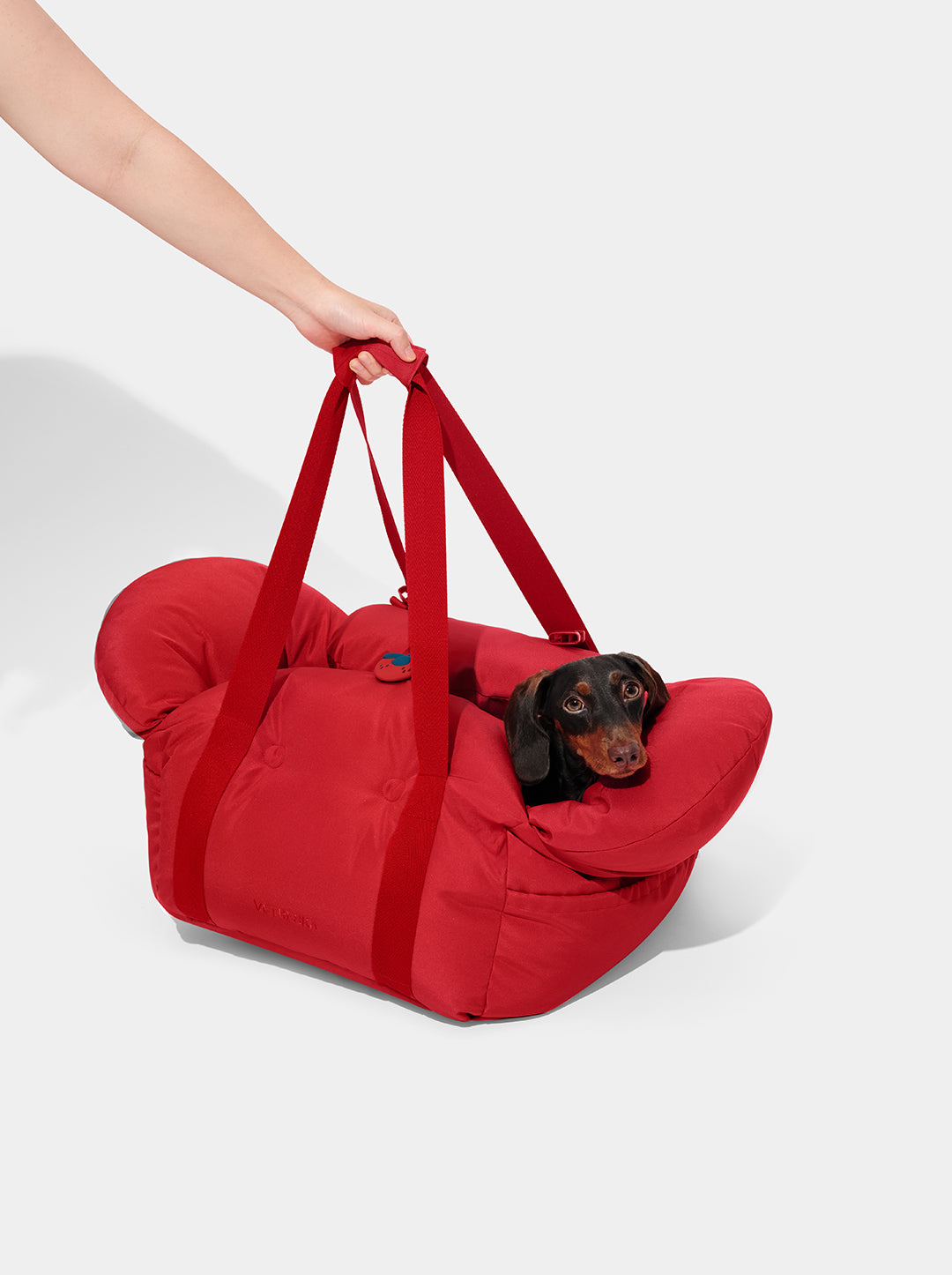 Strawberry Car Seat Pet Carrier