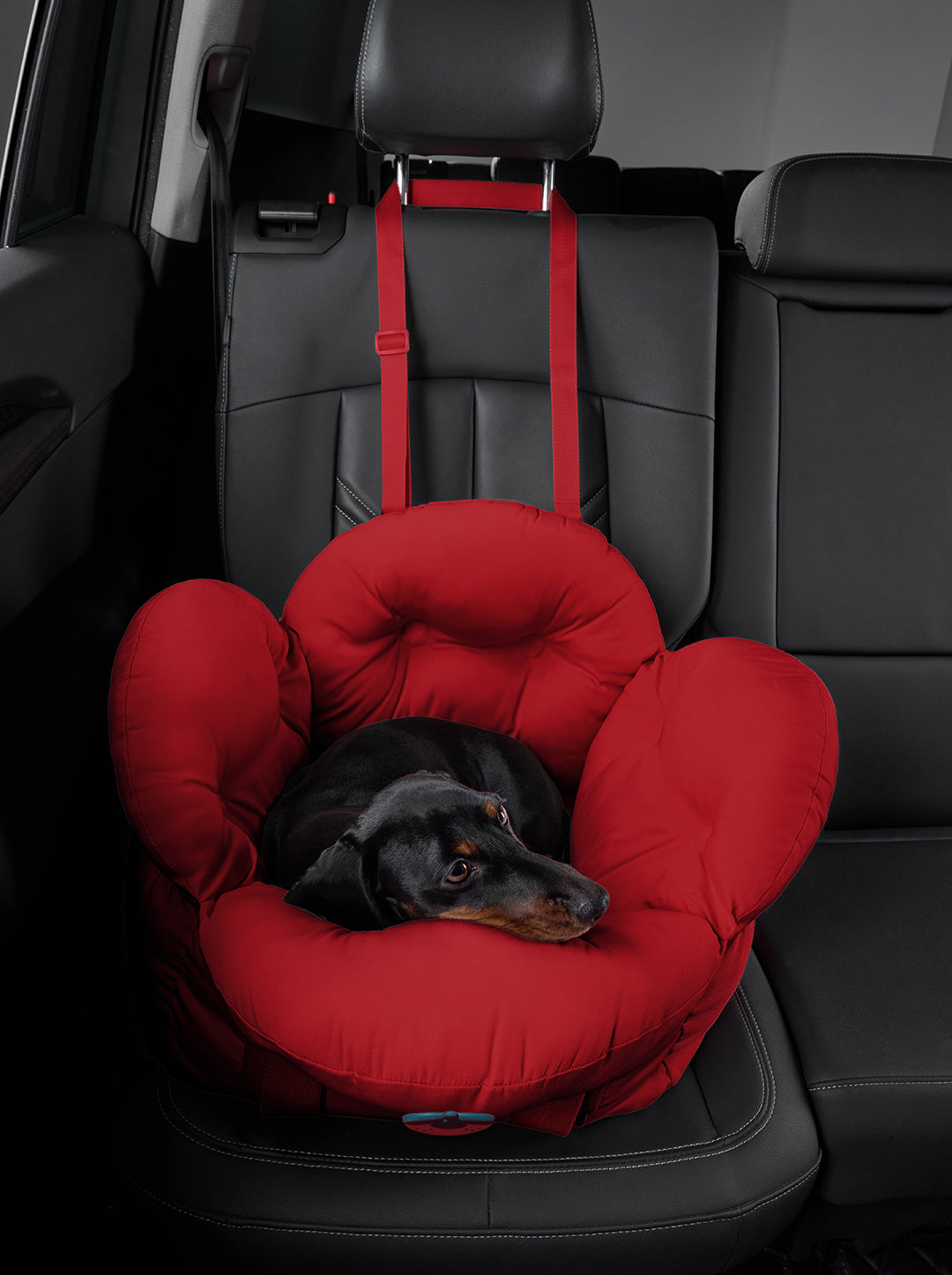 Strawberry Car Seat Pet Carrier