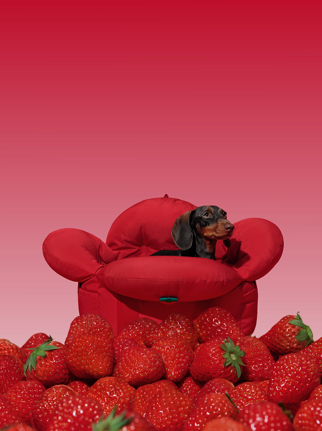 Strawberry Car Seat Pet Carrier