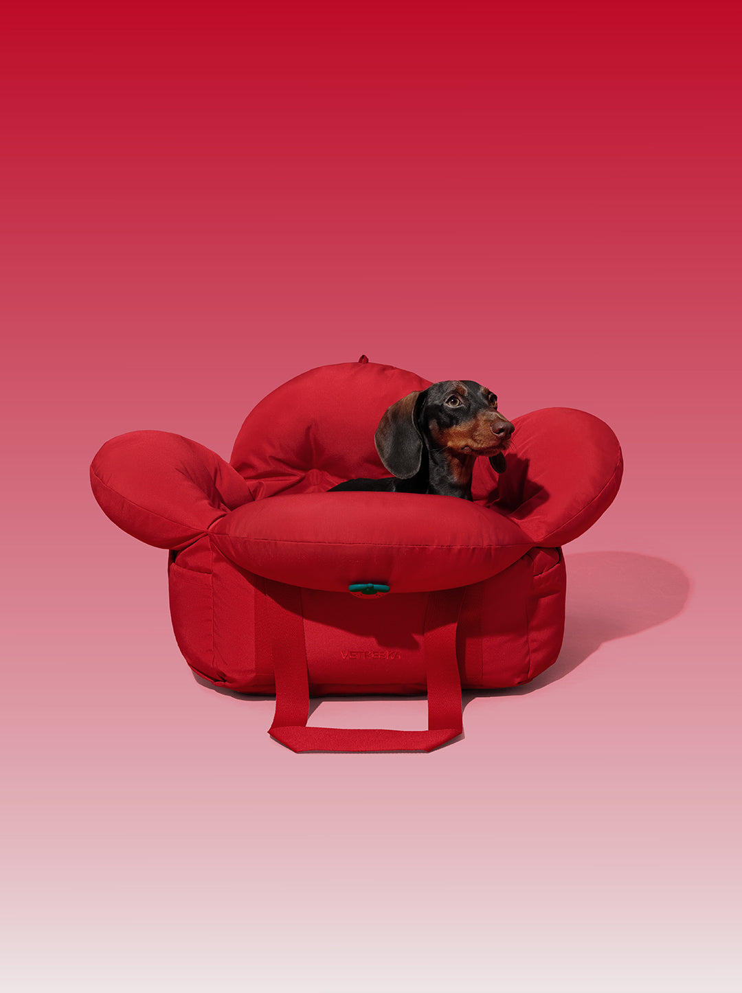Strawberry Car Seat Pet Carrier