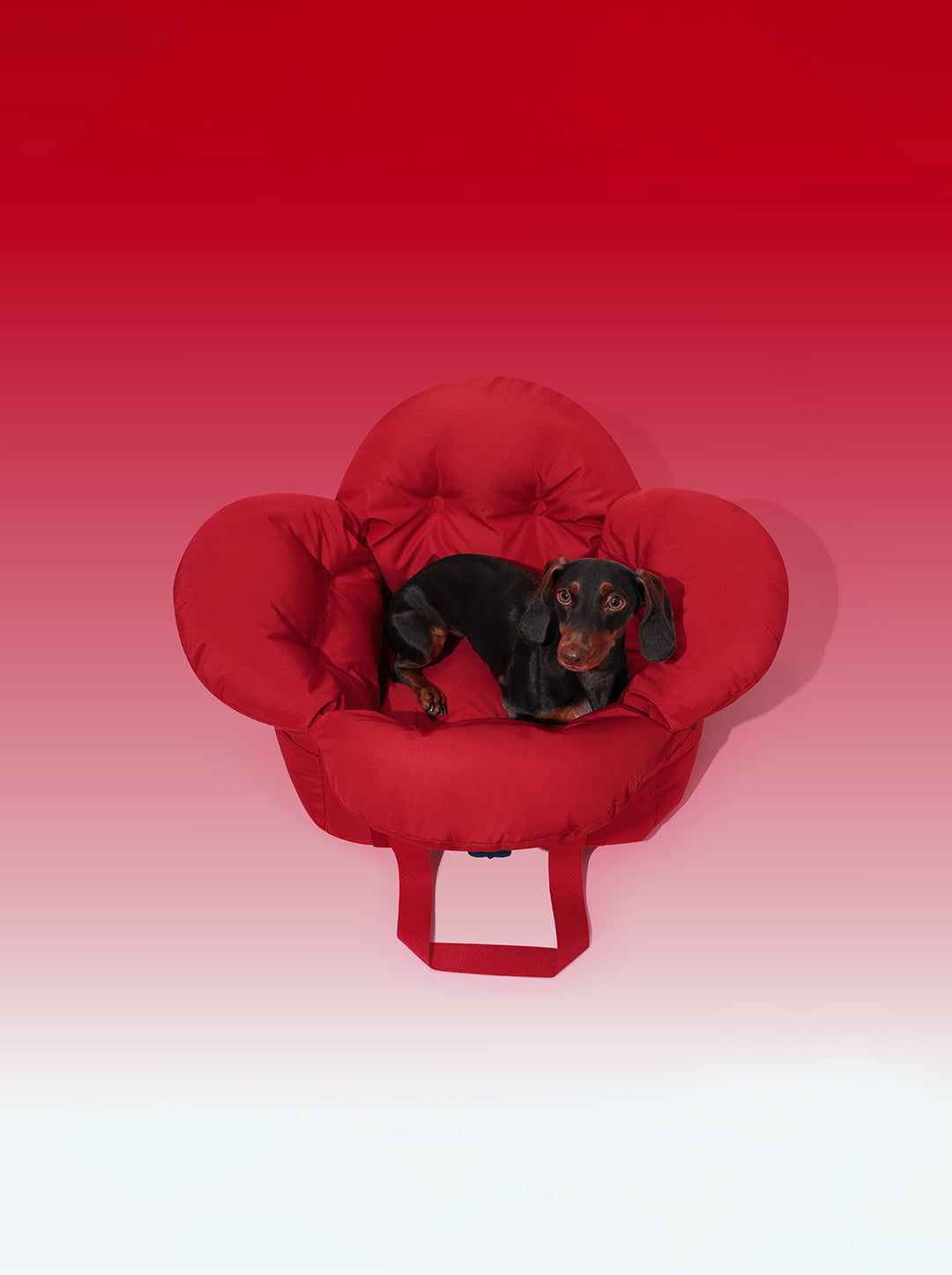 Strawberry Car Seat Pet Carrier