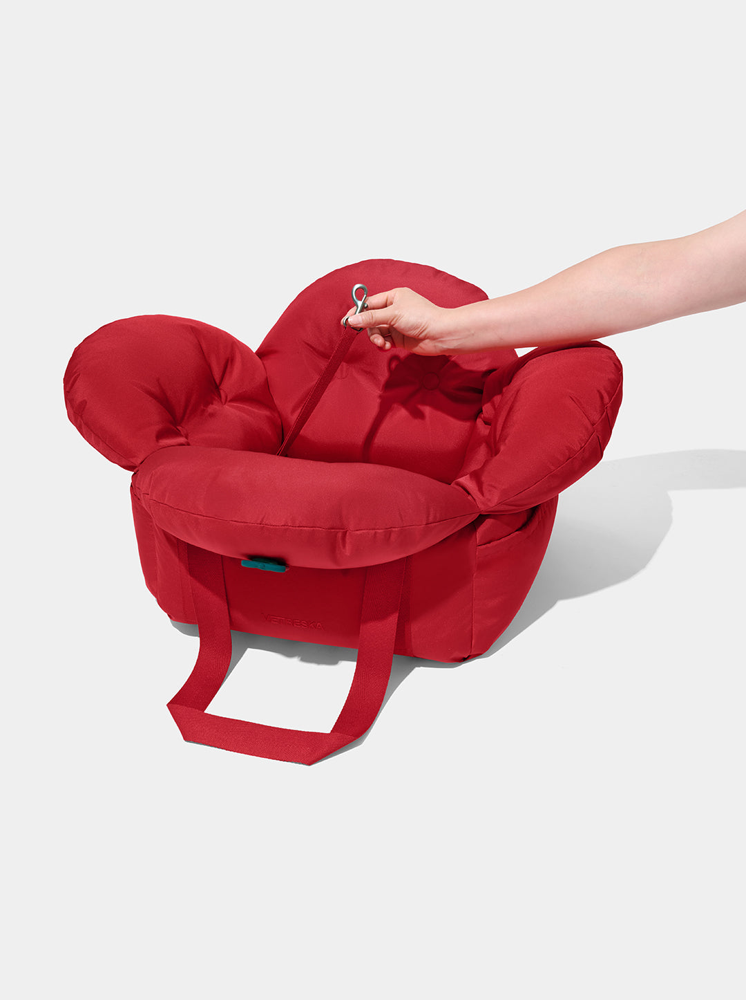 Strawberry Car Seat Pet Carrier