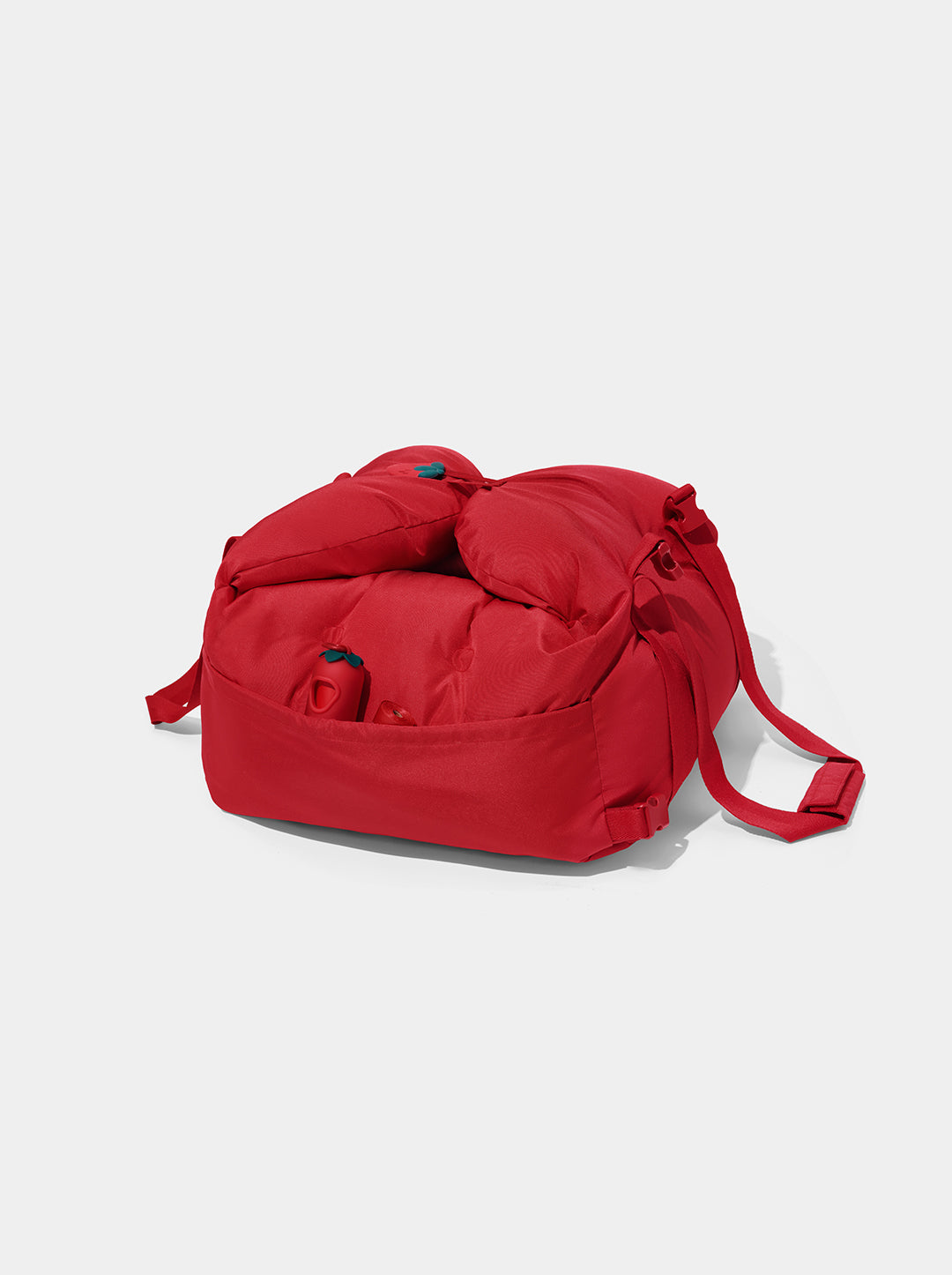 Strawberry Car Seat Pet Carrier
