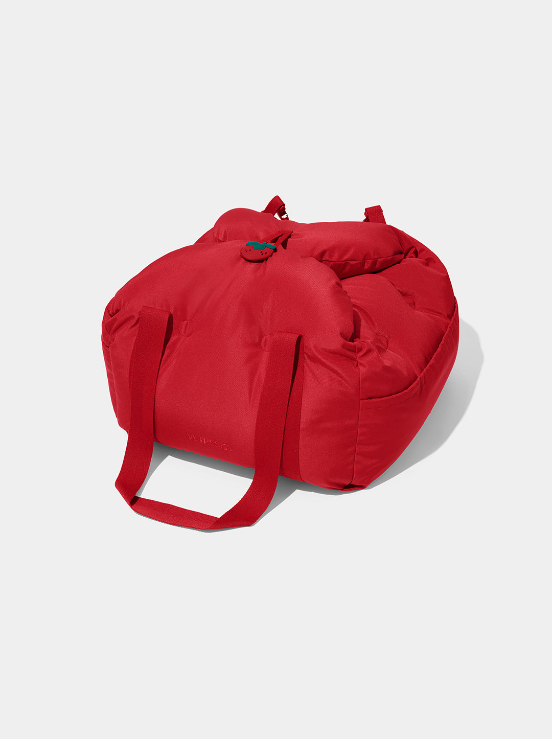 Strawberry Car Seat Pet Carrier