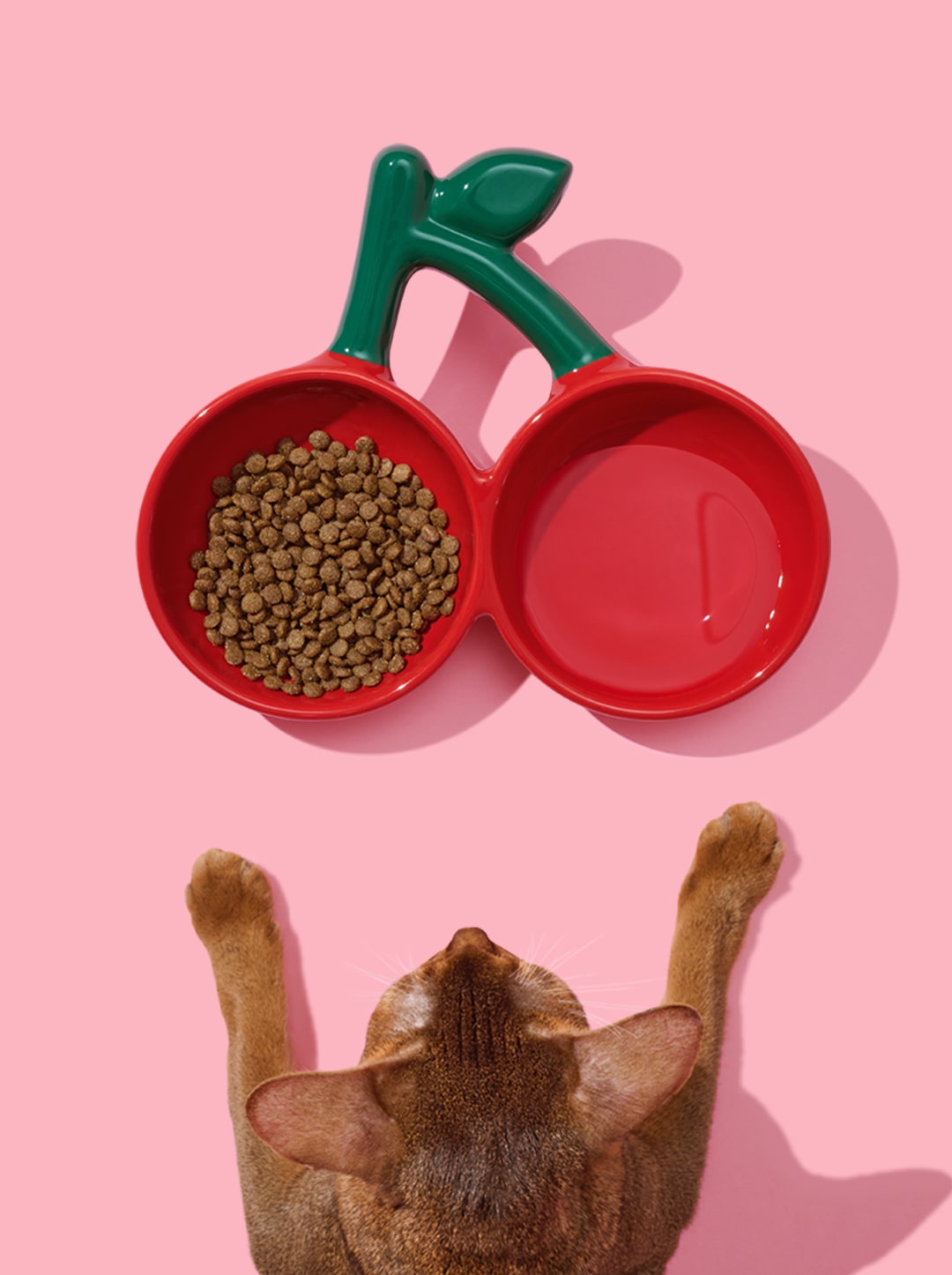 Cherry Ceramic Pet Bowl (NEW)