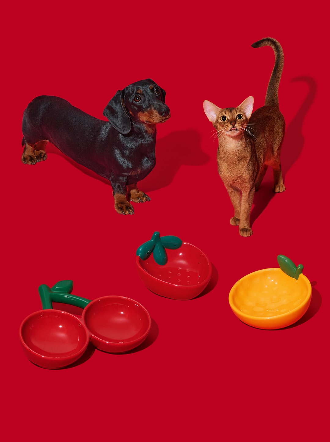 Cherry Ceramic Pet Bowl (NEW)