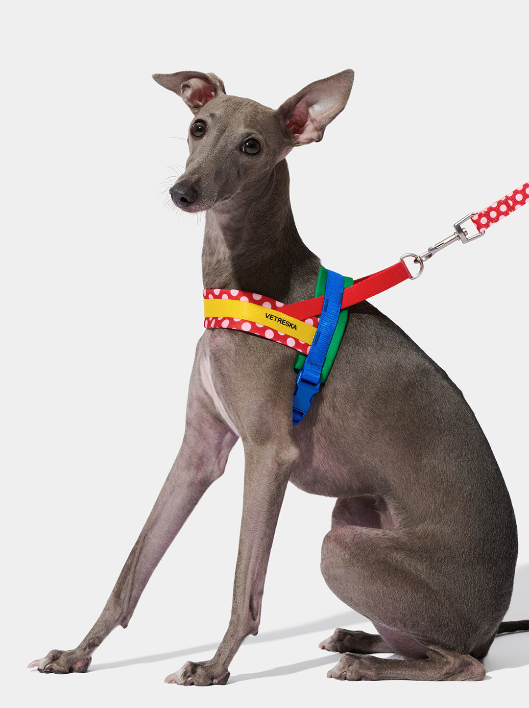 Chroma Pet Harness & Leash Set - Red