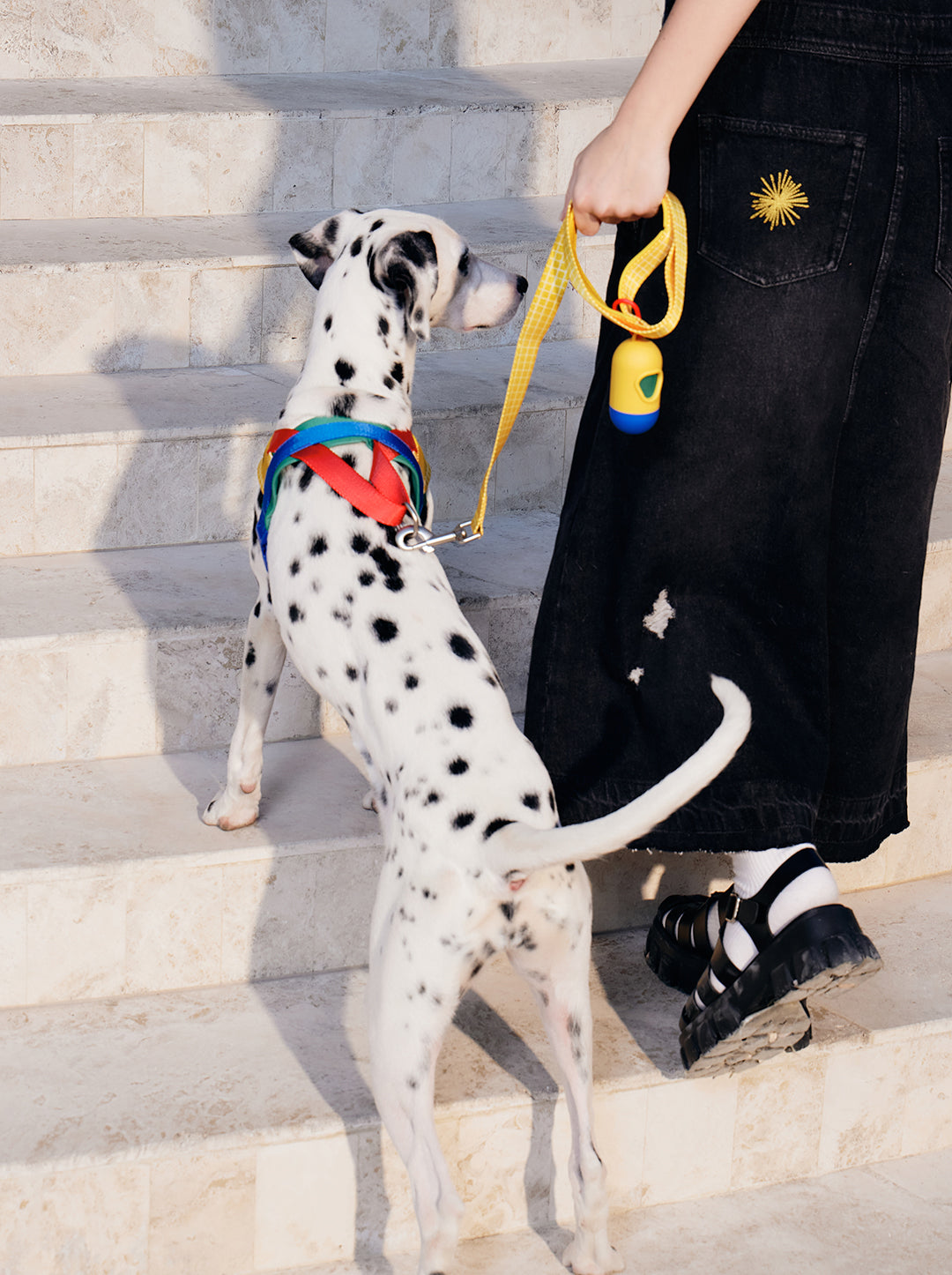 Chroma Pet Harness & Leash Set-Yellow