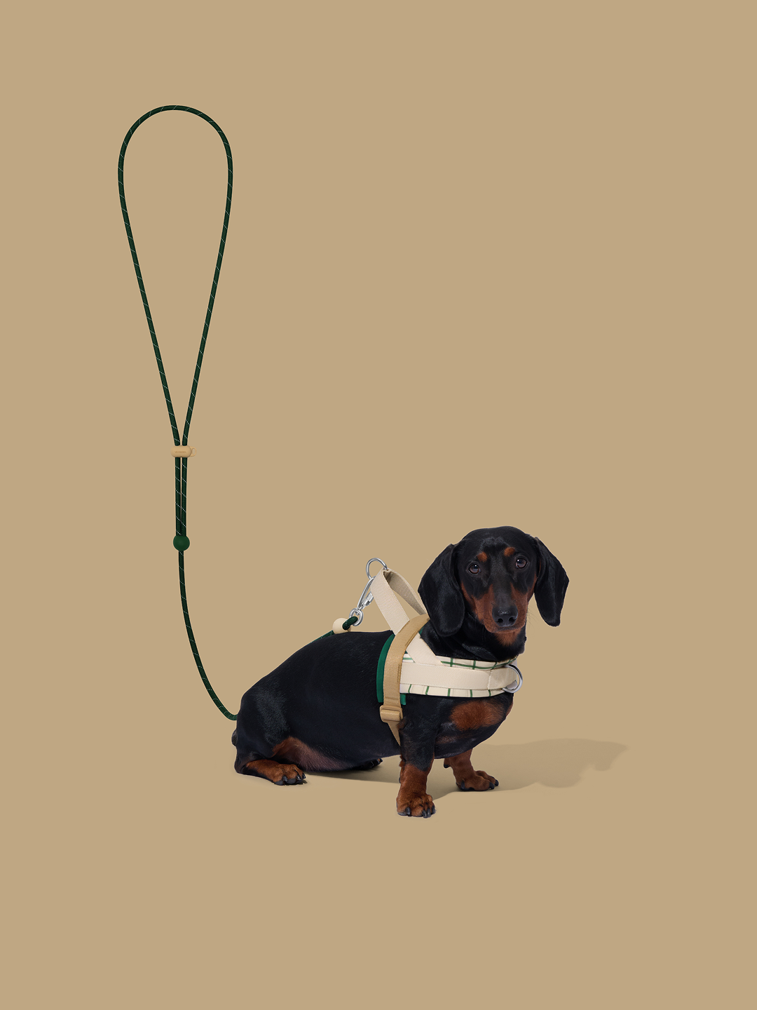 Connect Classic Rope Leash for Pets (Santal Forest) - Premium