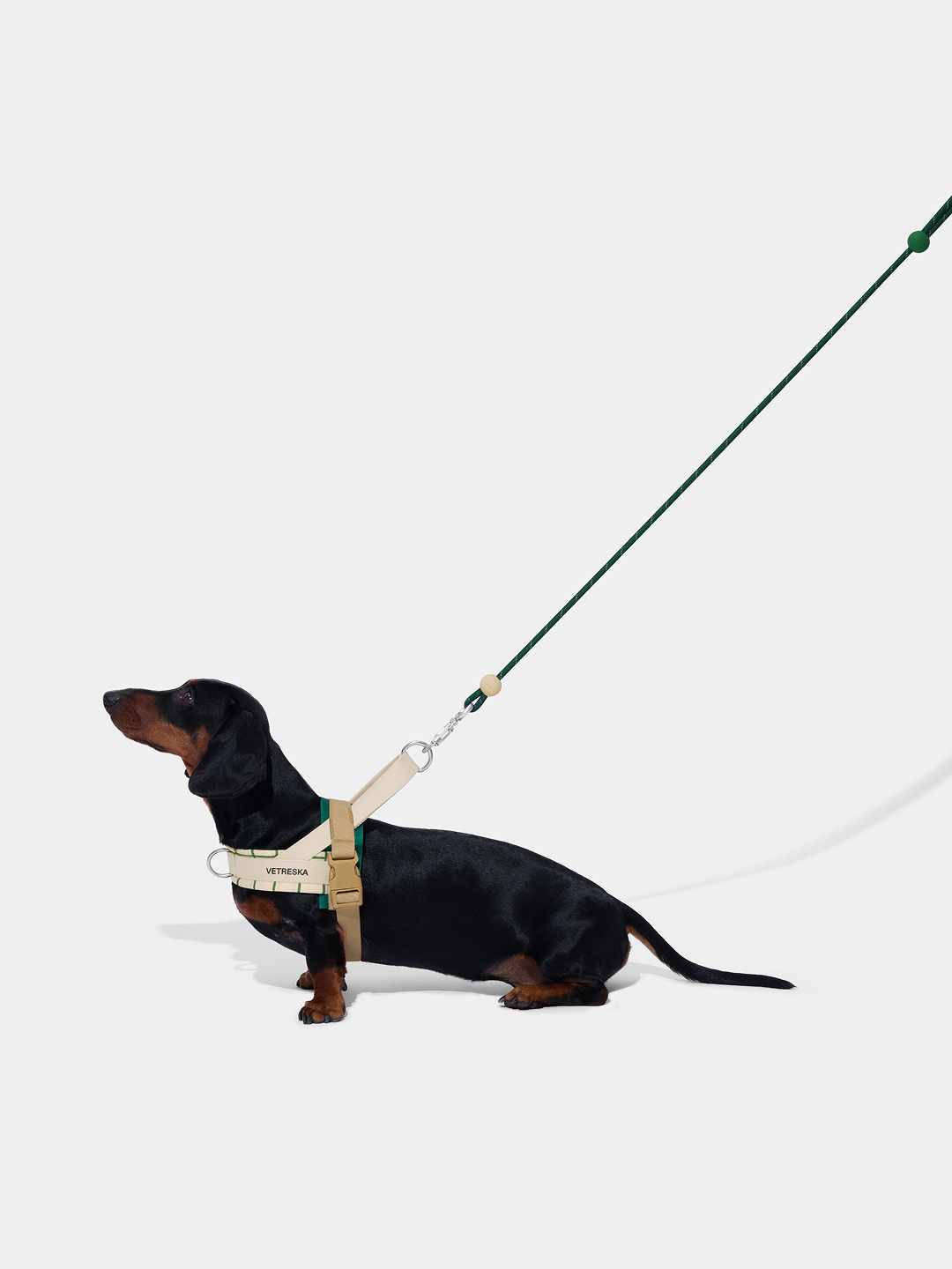 Connect Classic Rope Leash for Pets (Santal Forest) - Premium